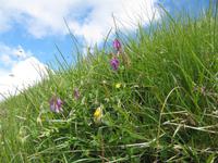 Auf dem Brienzer Rothorn