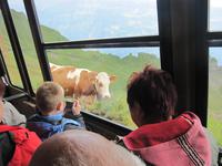 Fahrt mit der Brienzer Rothorn Bahn