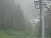 Nebel auf der Grütsch- Alp