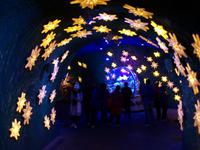 Auf dem Jungfraujoch 