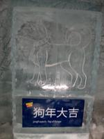 Auf dem Jungfraujoch (Eispalast) 