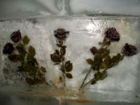 Auf dem Jungfraujoch (Eispalast) 