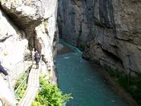 In der Aareschlucht 