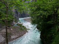 In der Aareschlucht 