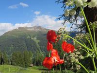 Blick von der Schatzalp zum Jakobshorn