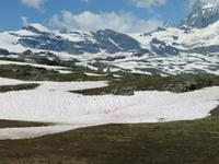 Gornergrat - Saharasand auf dem Schnee