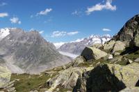 Blick auf den Aletschgletscher