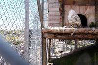 Pause auf dem Grimselpass