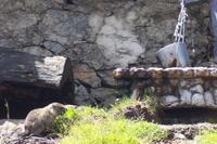 Pause auf dem Grimselpass