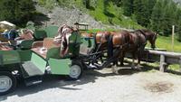Auf in die Kutschen - unsere Fahrt in das Val Rosseg 