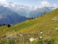 Blick von Schynige Platte