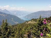 Blick von Schynige Platte
