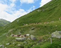 Fahrt über den Furka Pass