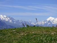 Riederalp - Blick in die Walliser Alpen -