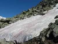 Bettmerhorn - Schneefeld mit Saharasand und Blutroter Alge