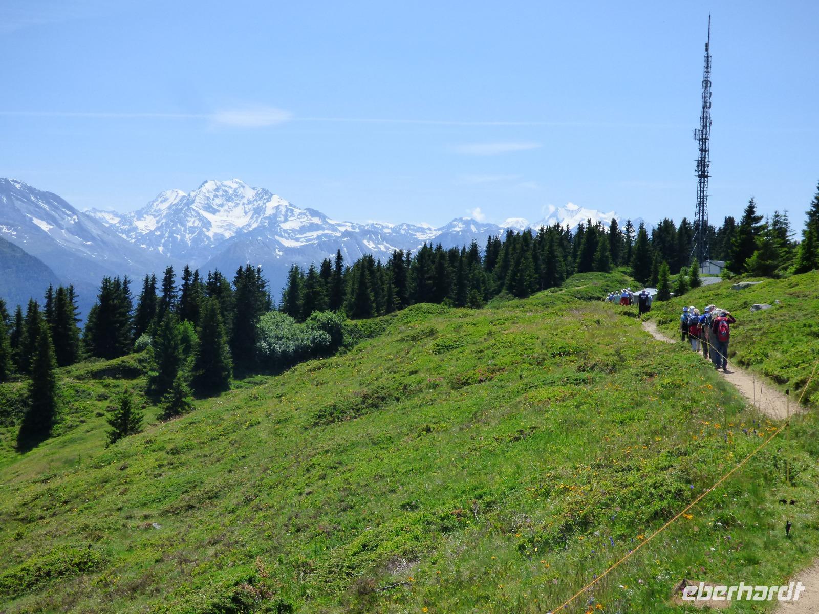 Wanderung auf dem Herrenweg von der Bettmeralp zur Riederalp -