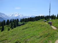 Wanderung auf dem Herrenweg von der Bettmeralp zur Riederalp -