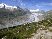 Moosfluh - Blick zum Aletschgletscher