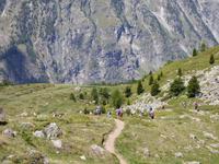 Zermatt - Wanderung auf dem Blumenweg - Matterhorn