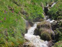 Zermatt - Wanderung auf dem Blumenweg