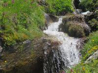 Zermatt - Wanderung auf dem Blumenweg
