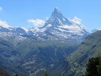 Zermatt - Wanderung auf dem Blumenweg Matterhorn