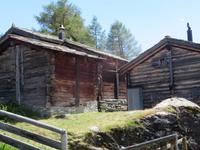 Zermatt - Wanderung auf dem Blumenweg Tufteren