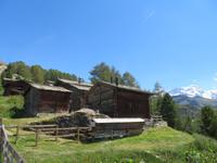Zermatt - Wanderung auf dem Blumenweg Tufteren