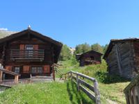 Zermatt - Wanderung auf dem Blumenweg Tufteren