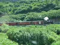 Furka-Dampfbahn in Gletsch
