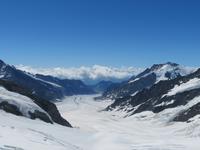 Ausflug zum Jungfraujoch - Blick über den Aletschgletscher