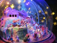 Ausflug zum Jungfraujoch - Alpine Sensation