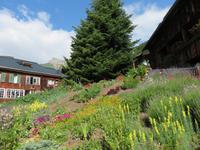 Ausflug zum Schilthorn - Mürren