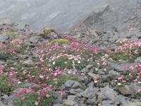 Ausflug zum Schildhorn -  Mannsschild