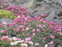 Ausflug zum Schildhorn - Mannsschild