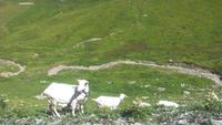 Briens, Fahrt mit der Rothorn Bahn