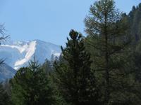 Fahrt mit dem Bernina-Express