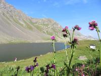 Stopp auf dem Flüelapass