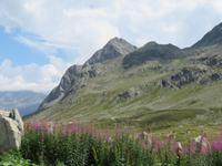 Engadin-Rundfahrt - Stopp auf dem Julierpass