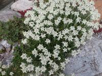 Davos - Ausflug zur Schatzalp - Berghotel