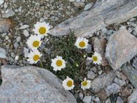 Zermatt - Ausflug zum Gornergrat -