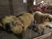 Zermatt - Matterhornmuseum