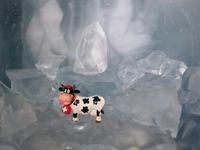 Zermatt - Ausflug auf das Kleine Matterhorn - Eispalast