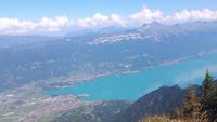 Schynige Platte (Blick zum Brienzer See)