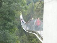 Die Hängebrücke in Bellwald