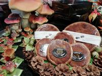 Saison für Maroni-Kuchen