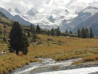 Blick zum Roseg-Gletscher
