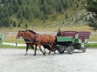 Mit der Kutsche geht es zurück