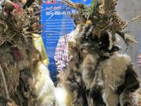 Silvester - die Chläuse besuchen uns im Hotel