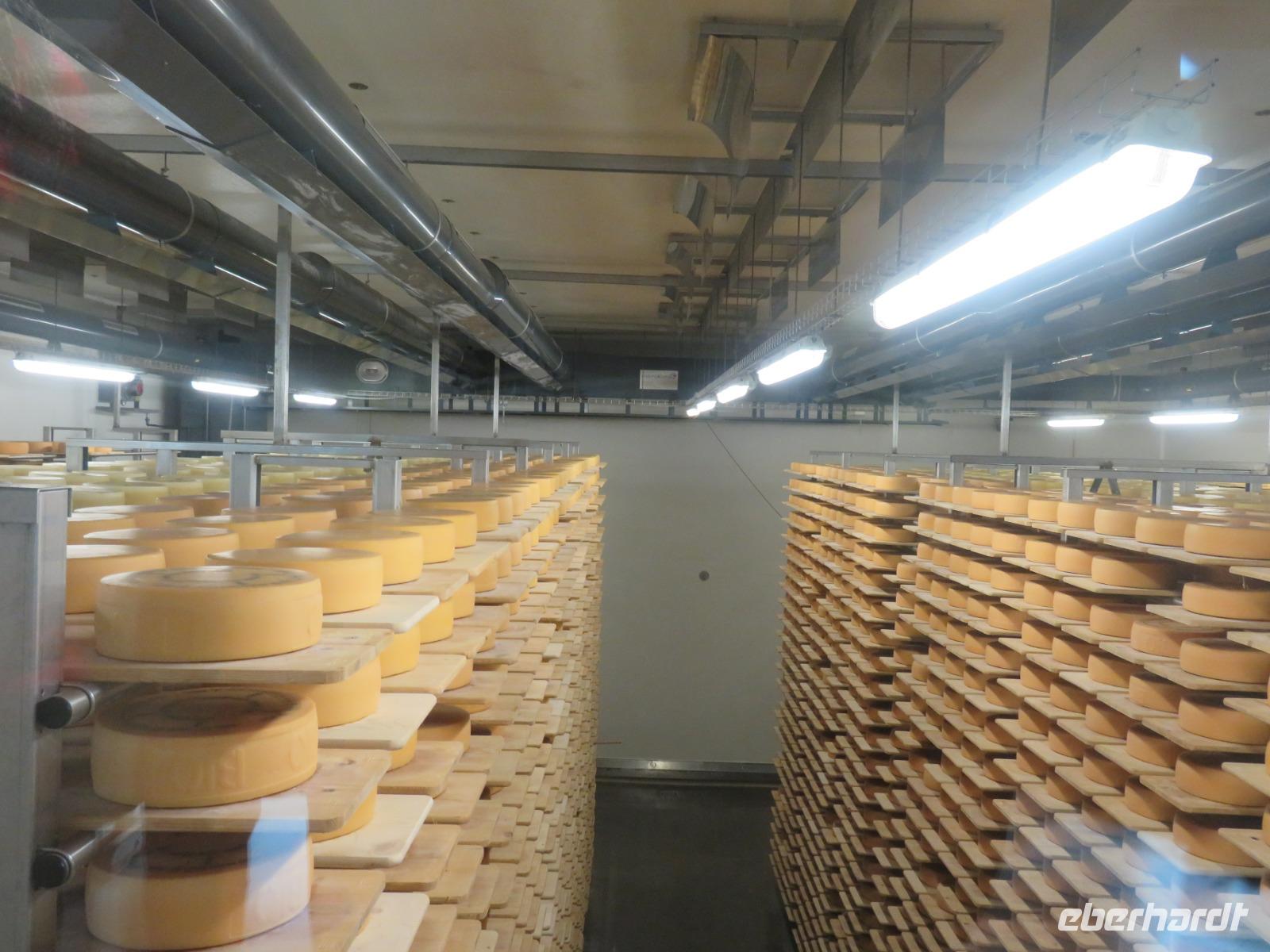 Appenzeller Schaukäserei - Blick in den Käsekeller